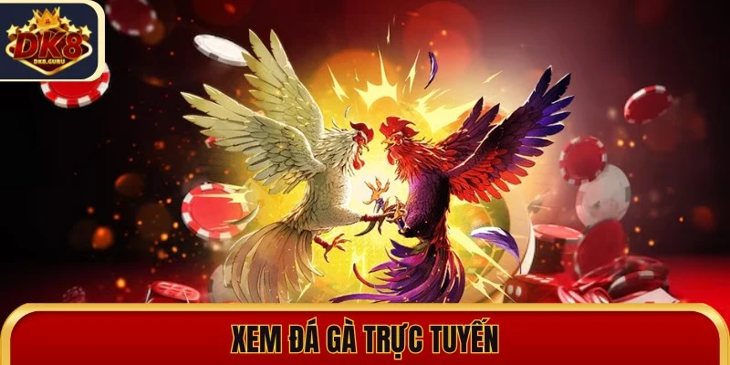 xem da ga truc tuyen